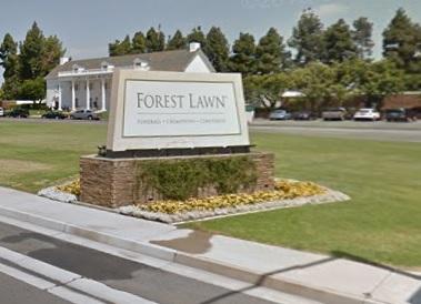 Forest lawn cypress usa